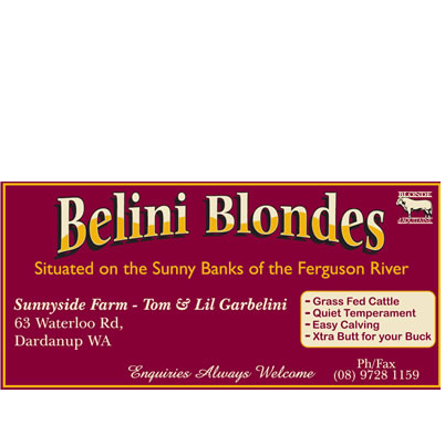 Belini Blondes