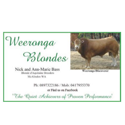 Weeronga Blondes